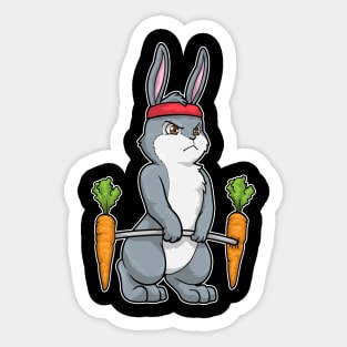 Rabbit with Carrots at Bodybuilding with Dumbbells Sticker